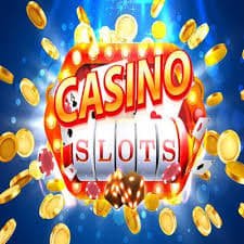 586 bet
