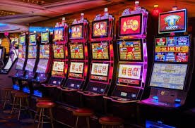 586 bet